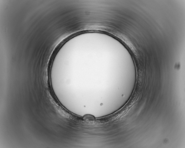 X0000099300980200805231338