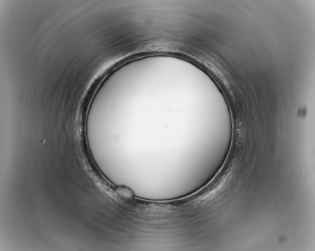 X0000099300981200805231338