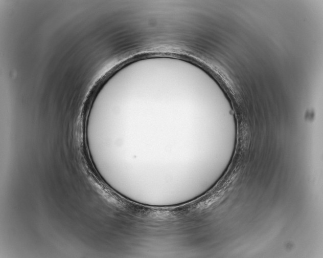 X0000099300982200805231338