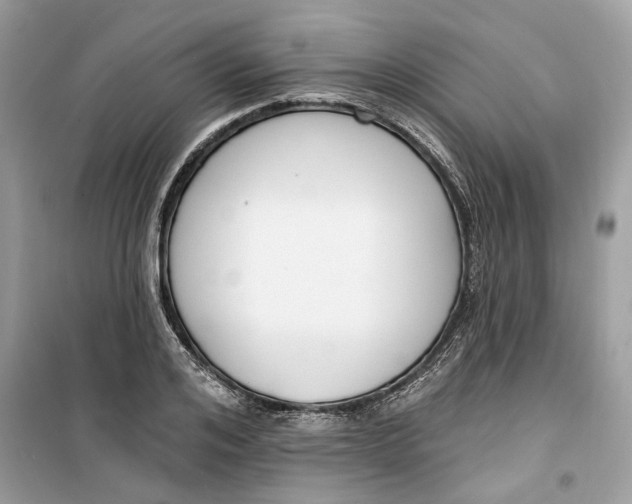 X0000099300984200805231338