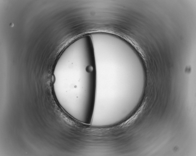 X0000099300985200805231338