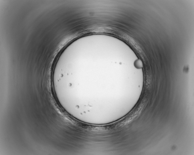 X0000099300986200805231338