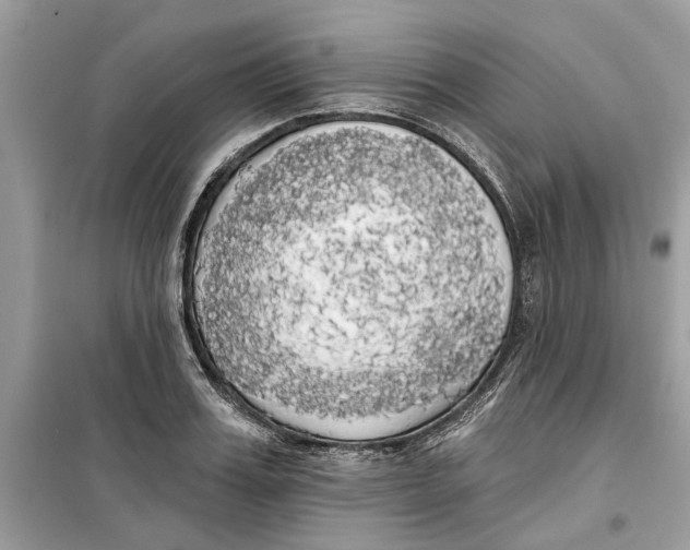 X0000099300987200805231338