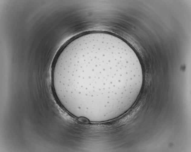 X0000099300988200805231338