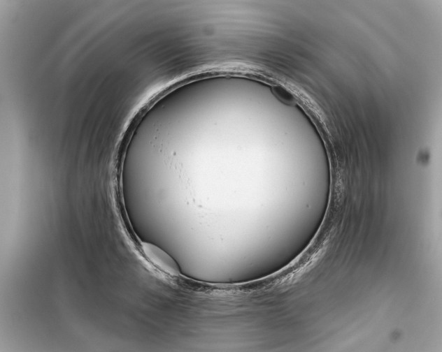 X0000099300989200805231338