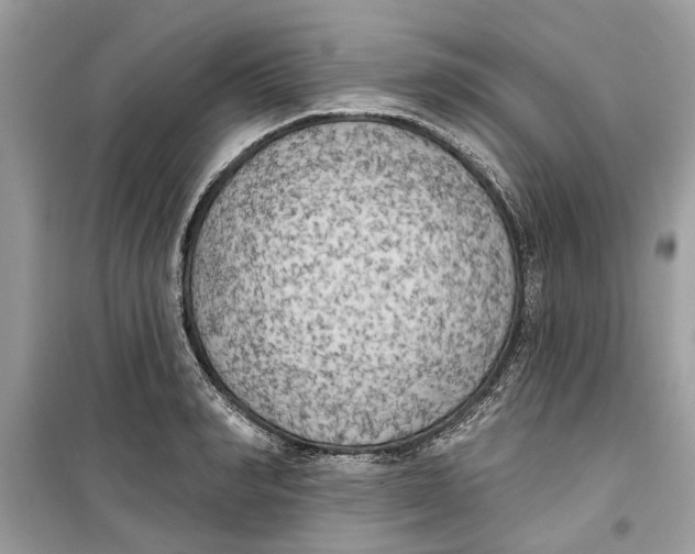 X0000099300990200805231338