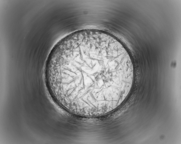 X0000099300991200805231338