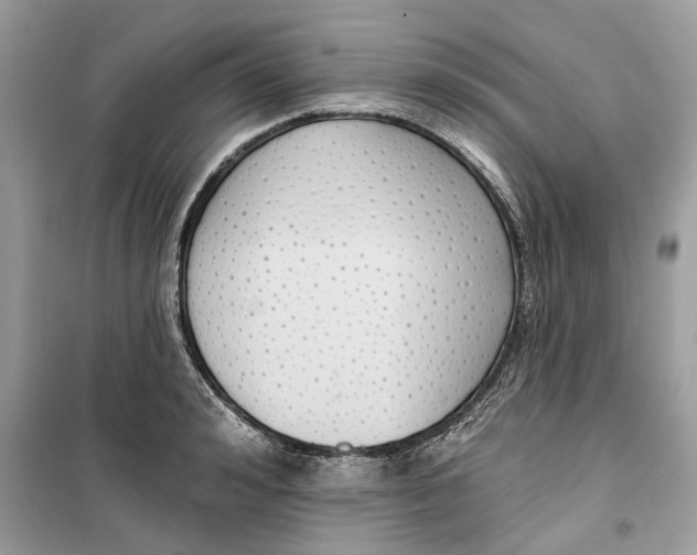 X0000099300992200805231338