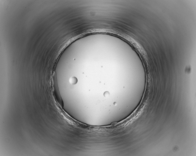 X0000099300993200805231338