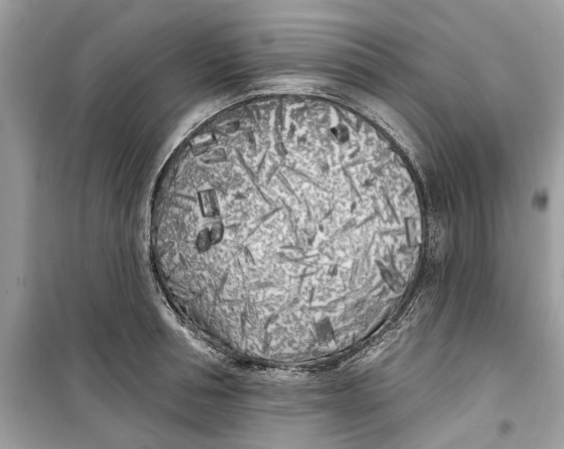 X0000099300994200805231338