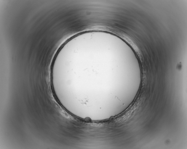 X0000099300996200805231338