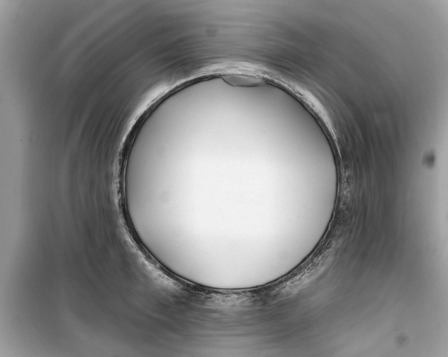 X0000099300997200805231338