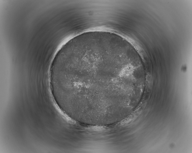 X0000099300998200805231338