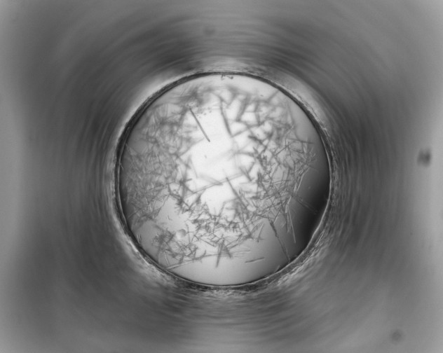 X0000099301000200805231338