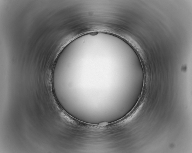 X0000099301001200805231338