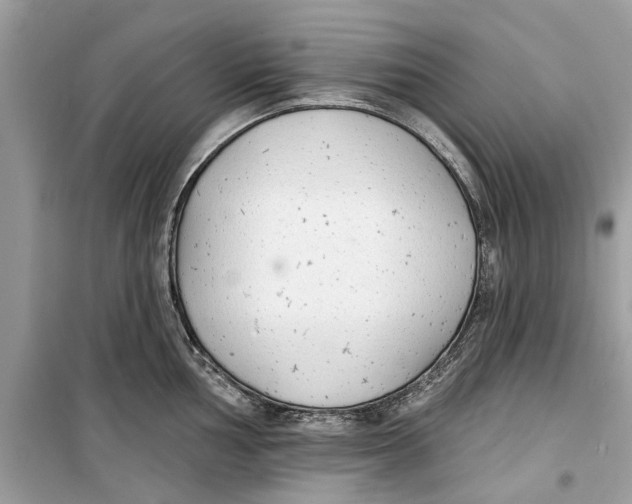 X0000099301002200805231338