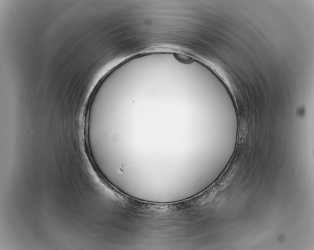 X0000099301003200805231338