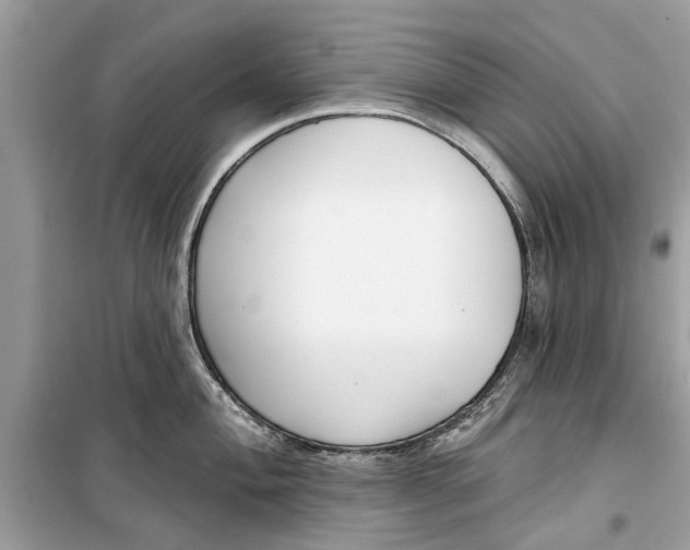 X0000099301004200805231338