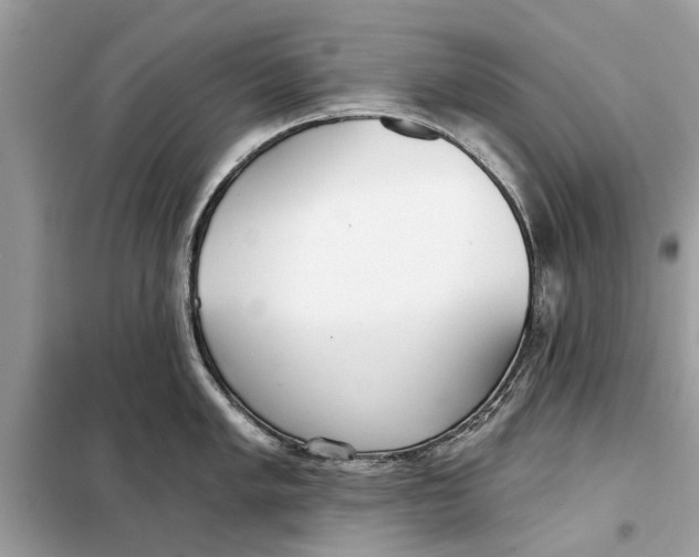 X0000099301005200805231338