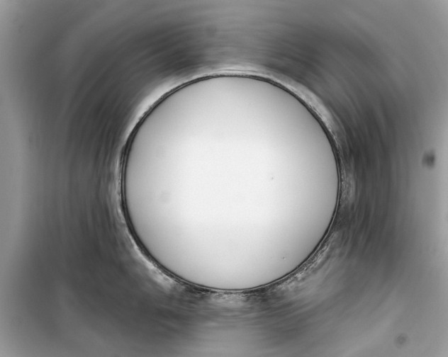 X0000099301006200805231338