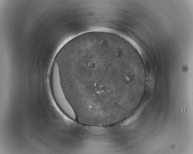 X0000099301007200805231338