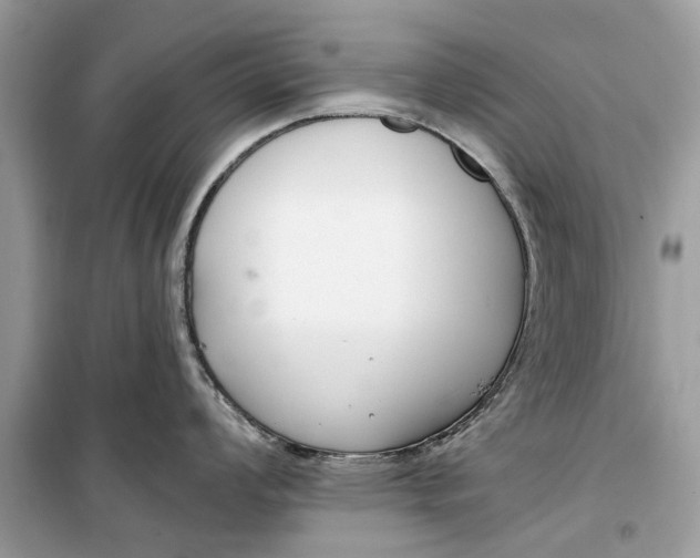 X0000099301008200805231338