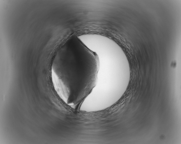 X0000099301009200805231337