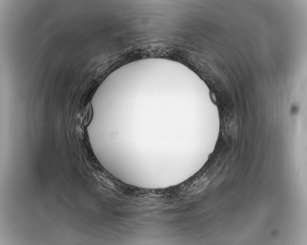 X0000099301010200805231337