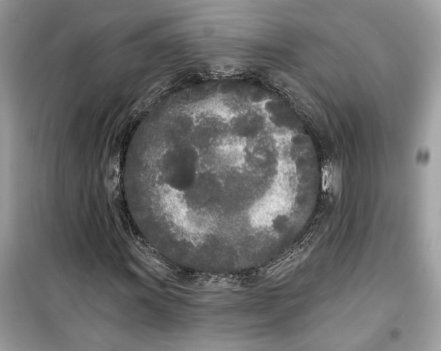 X0000099301011200805231337