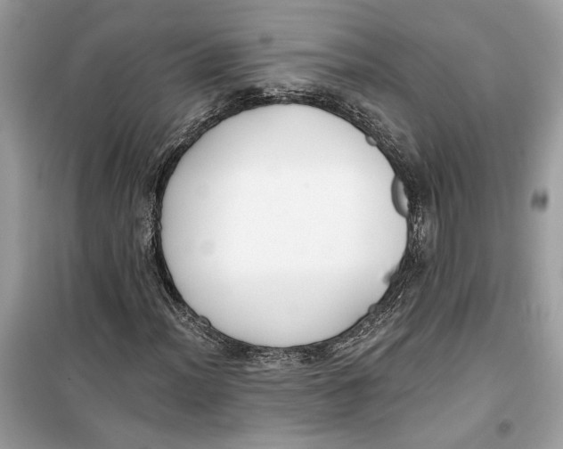 X0000099301012200805231337