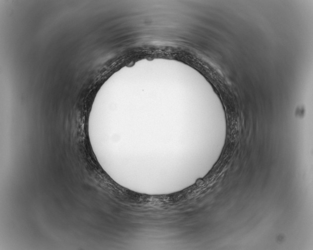 X0000099301013200805231337