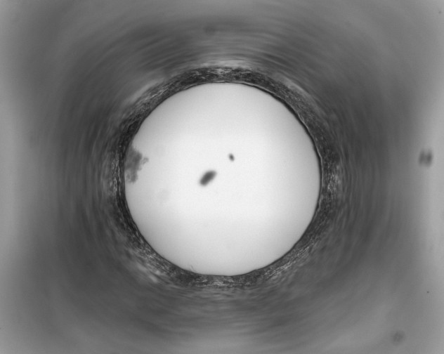 X0000099301014200805231337