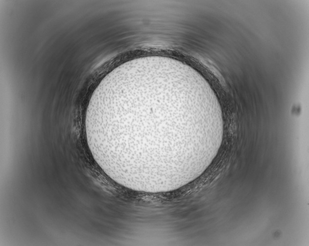 X0000099301015200805231337