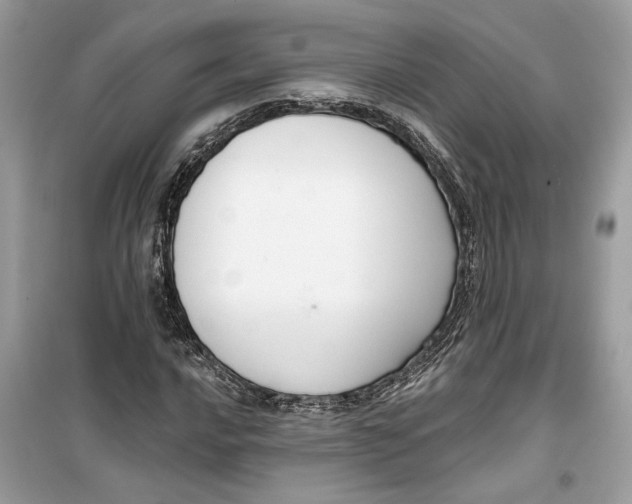 X0000099301016200805231337