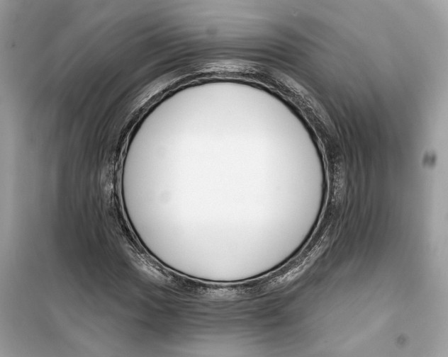 X0000099301017200805231337