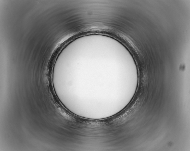 X0000099301018200805231337