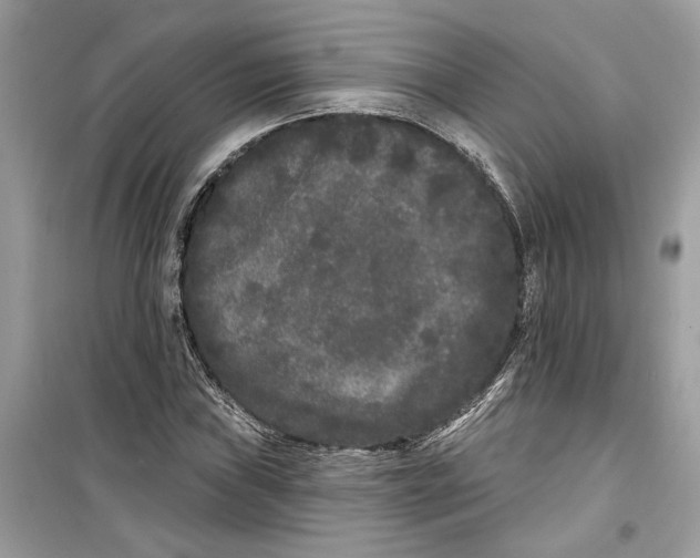 X0000099301019200805231337