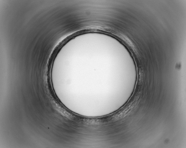 X0000099301020200805231337