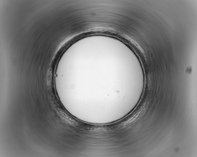 X0000099301021200805231337