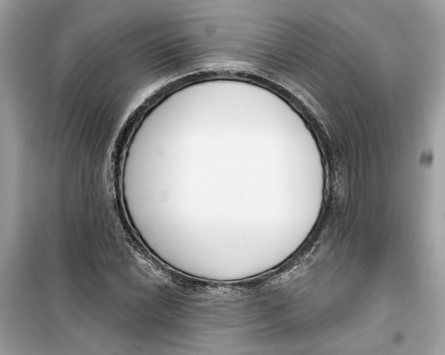 X0000099301022200805231337