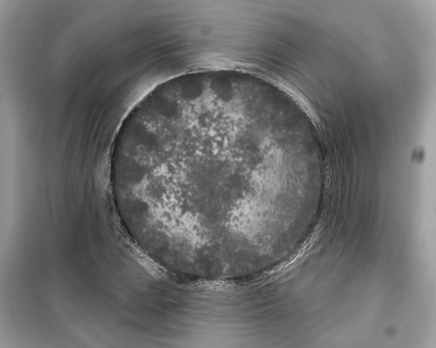 X0000099301023200805231337