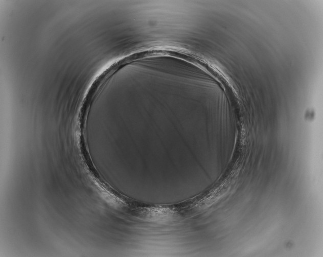 X0000099301024200805231337