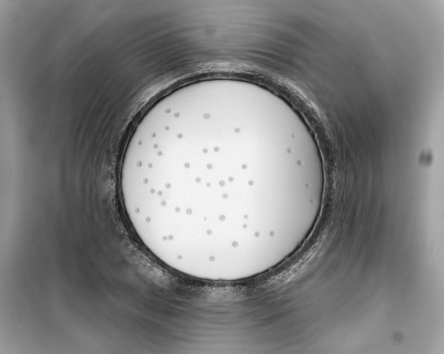 X0000099301025200805231337