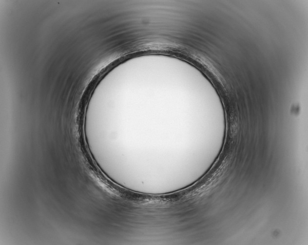 X0000099301026200805231337