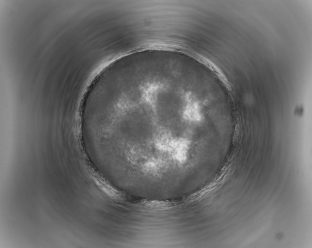 X0000099301027200805231337