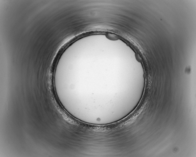 X0000099301029200805231337