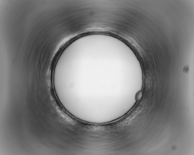 X0000099301030200805231337