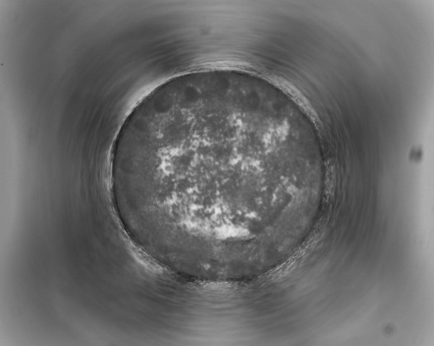 X0000099301031200805231337