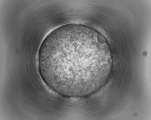 X0000099301032200805231337