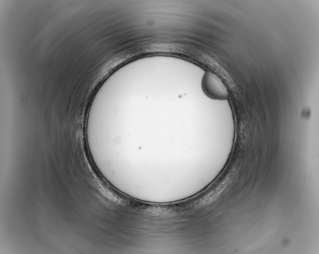 X0000099301033200805231337